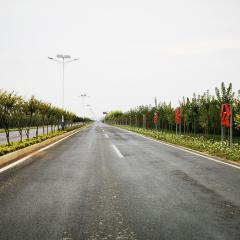 國有三門峽陜州區(qū)S245西張村段道路沿線綠化一標(biāo)段